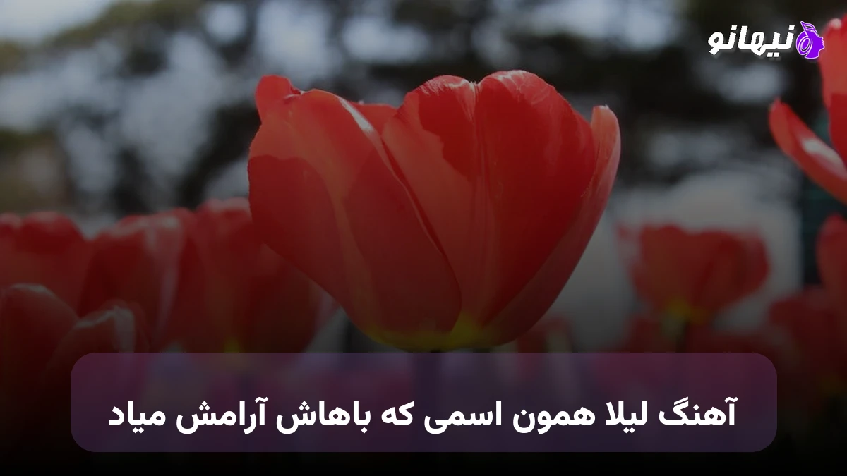 دانلود آهنگ لیلا همون اسمی که باهاش آرامش میاد صدای زن هوش مصنوعی